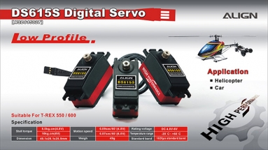 DS615S Cyclic Servo